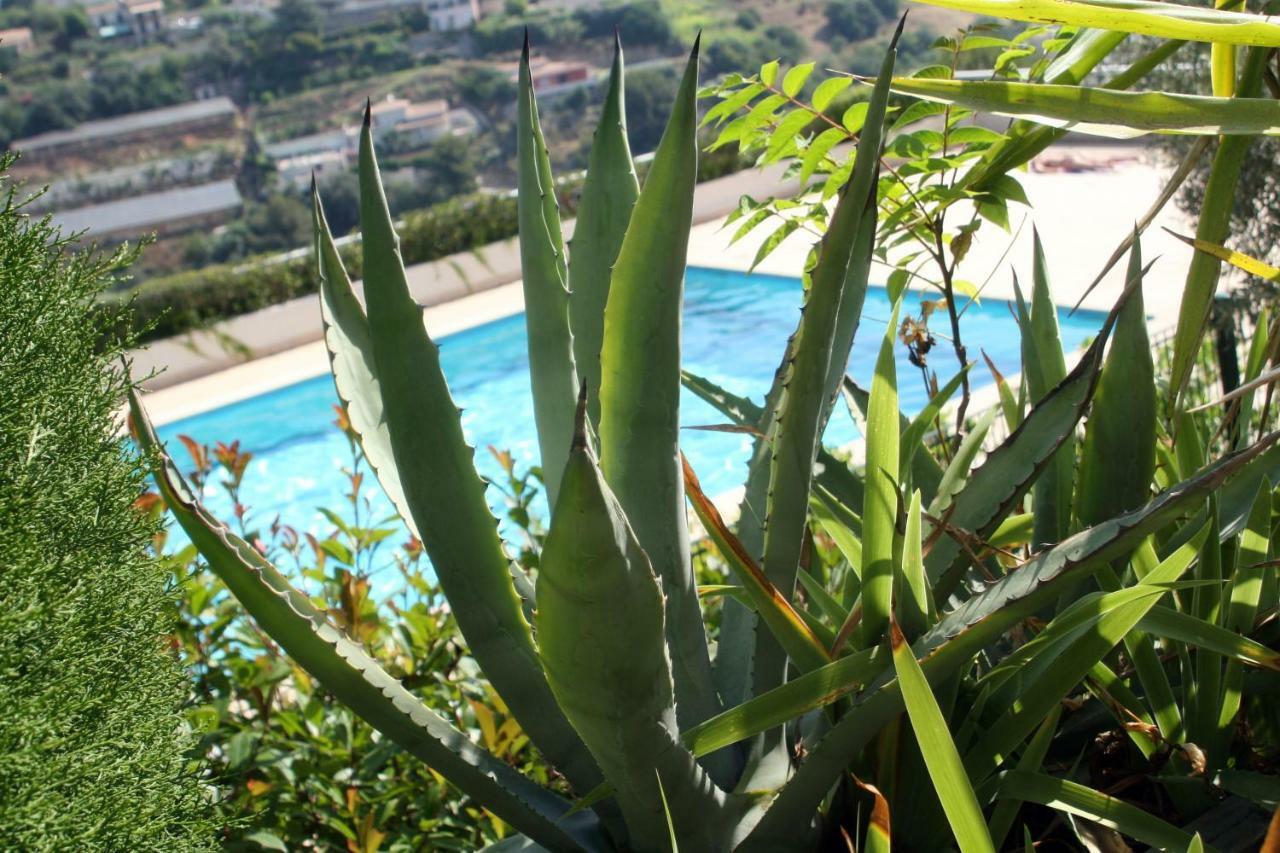 Studio Le Fabrina Riviera Nice Bagian luar foto